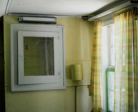 2006